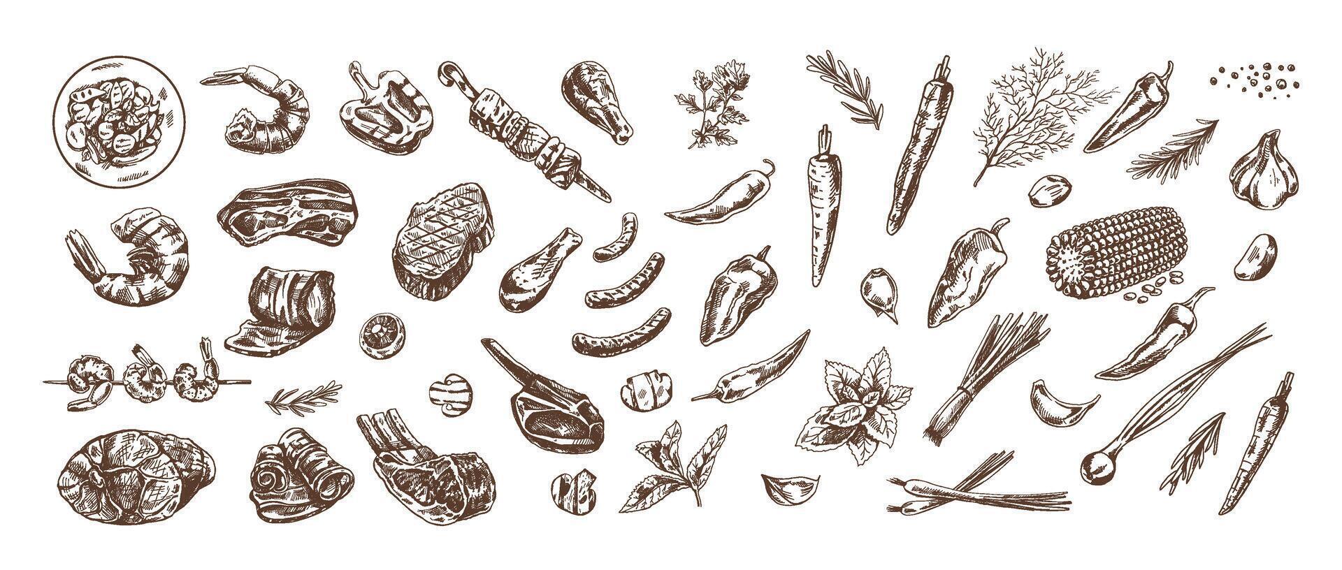Set of hand-drawn sketches of barbecue and picnic elements, meat. For the design of the menu of restaurants and cafes, grilled food. Doodle vintage illustration. Engraved image. vector