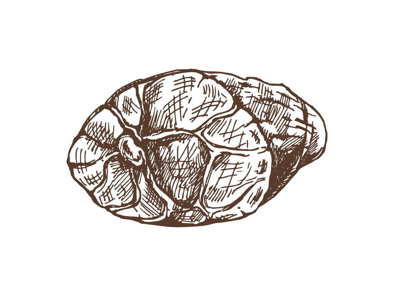 Hand-drawn vector sketch of sliced ham. Italian prosciutto vintage sketch. Butcher shop. Great for label, restaurant menu. Engraved image.