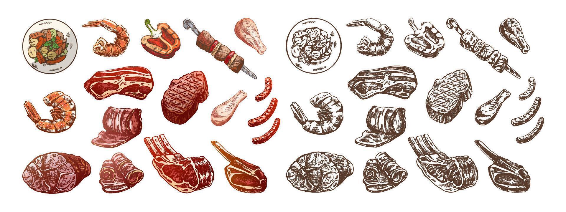 Set of hand-drawn colored and monochrome sketches of different types of meat, steaks, shrimp, chicken, grilled vegetables, barbecue. Doodle vintage illustration. Engraved image. vector