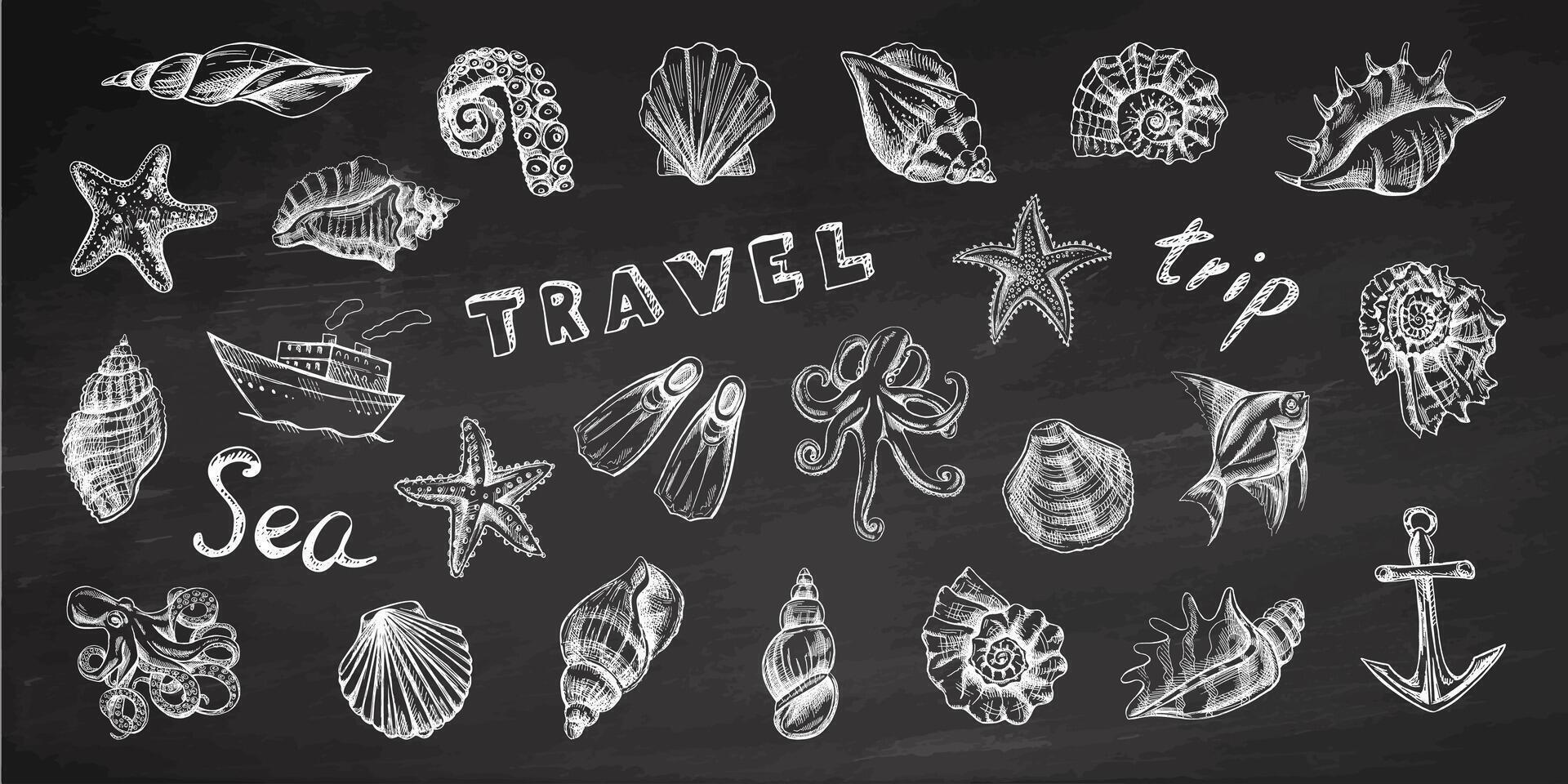 Ocean and Travel icons on chalkboard background. Seashells, octopus, fish, starfish, seahorses, ammonite vector set. Hand drawn. Realistic sketches of various ocean creatures and letterings isolated.