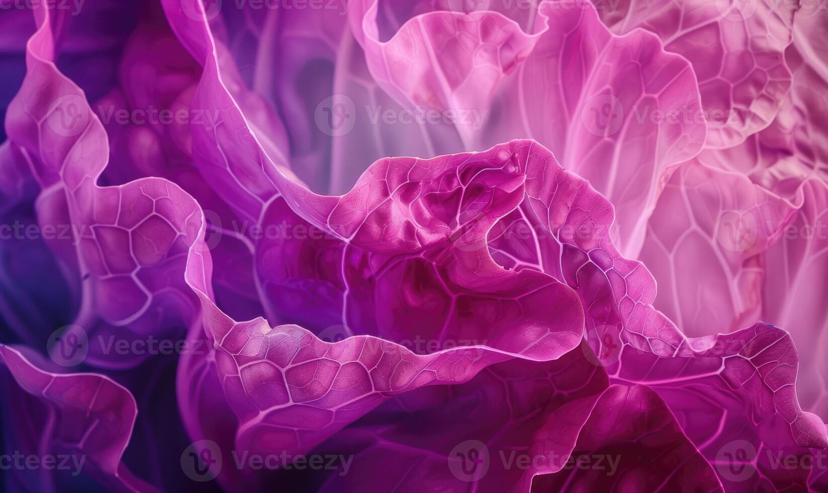 AI generated Close up of red cabbage, shallow depth of field photo