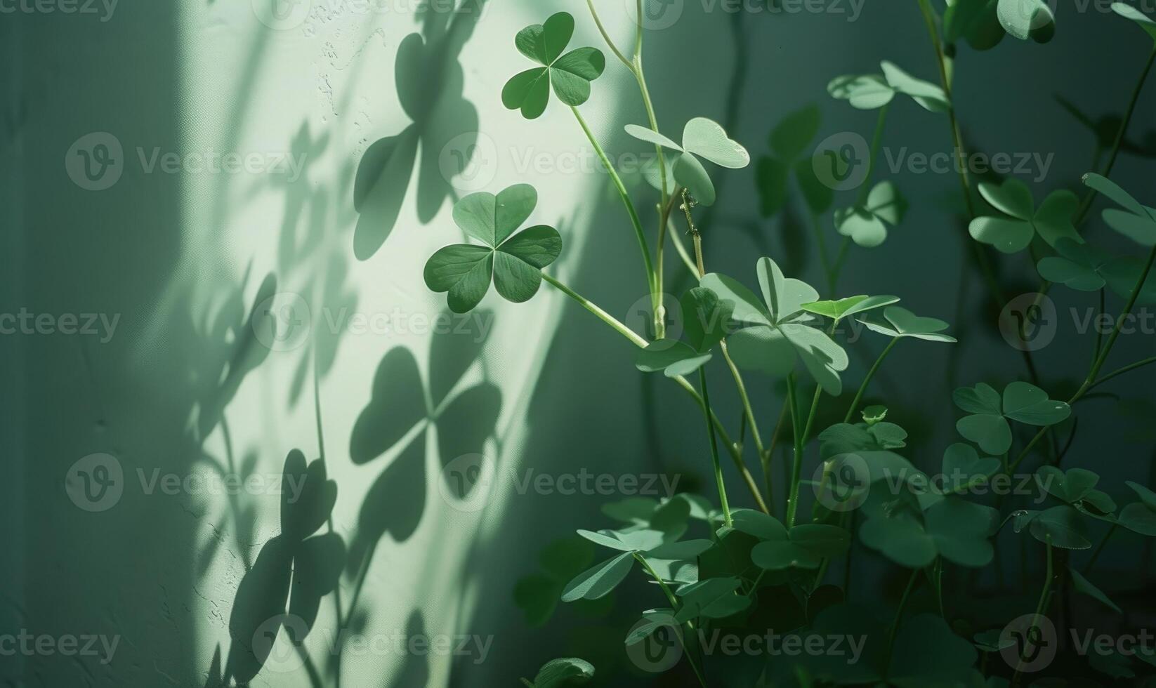 ai generado verde hojas de trébol en un blanco pared con oscuridad y ligero foto