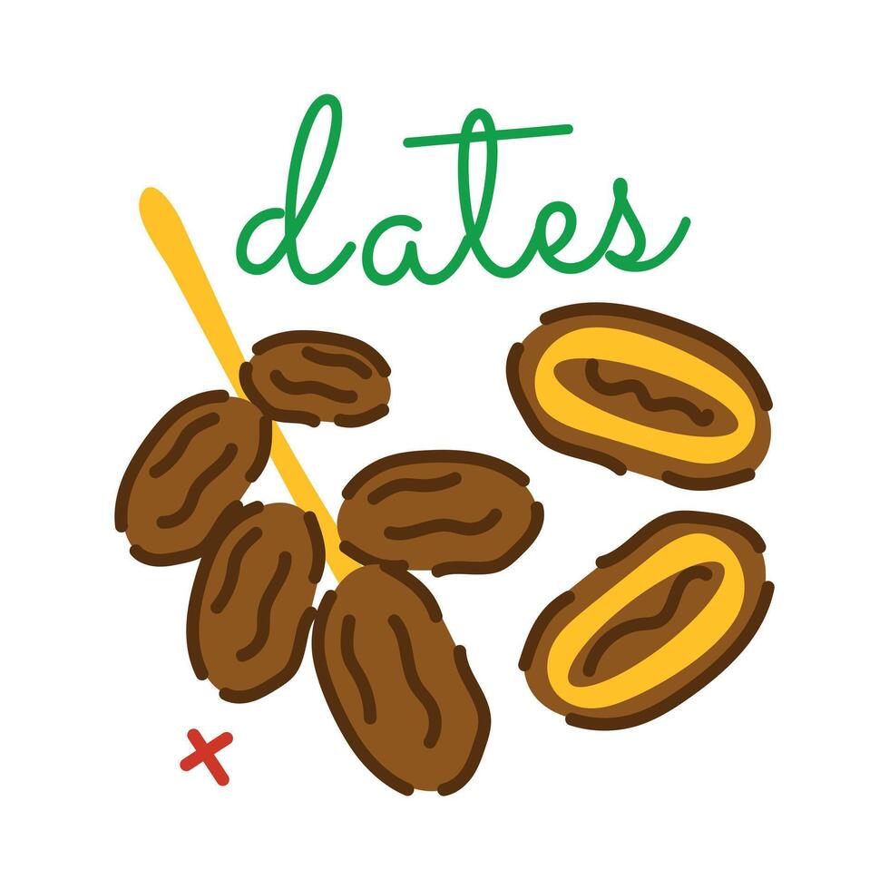 Trendy Date Fruit 40265849 Vector Art At Vecteezy trendy-date-fruit-40265849-vector-art-at-vecteezy