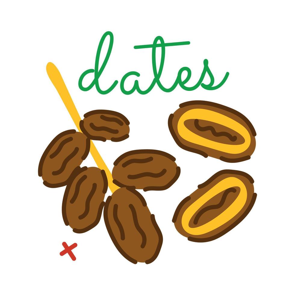 Trendy Date Fruit vector