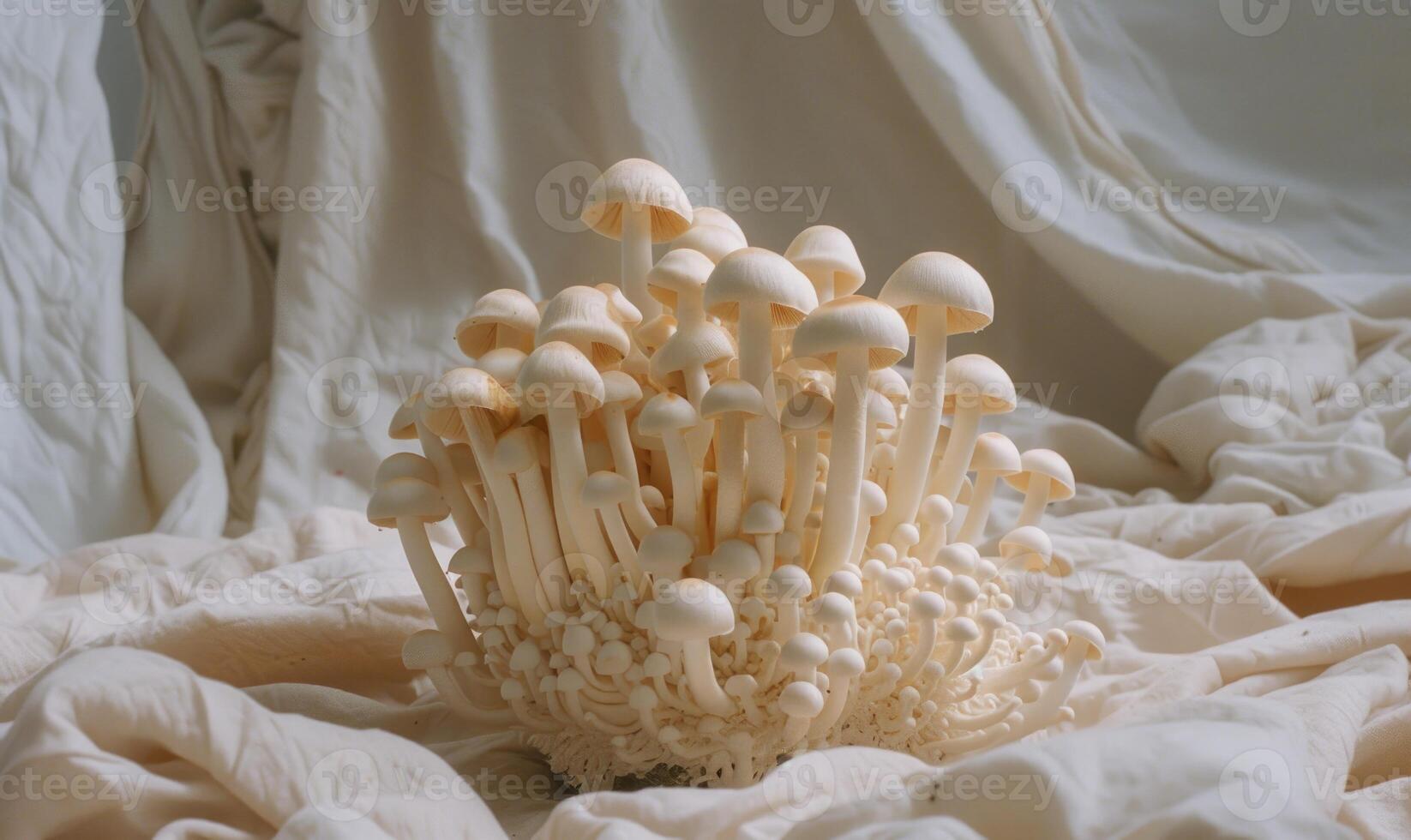 AI generated Shimeji mushrooms on white fabric background. Shimeji mushrooms photo