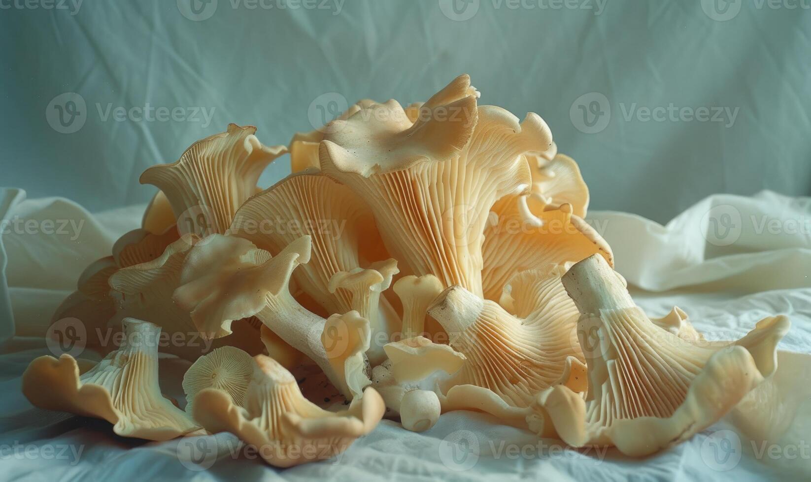 AI generated Oyster mushrooms on a white background. Selective focus. photo