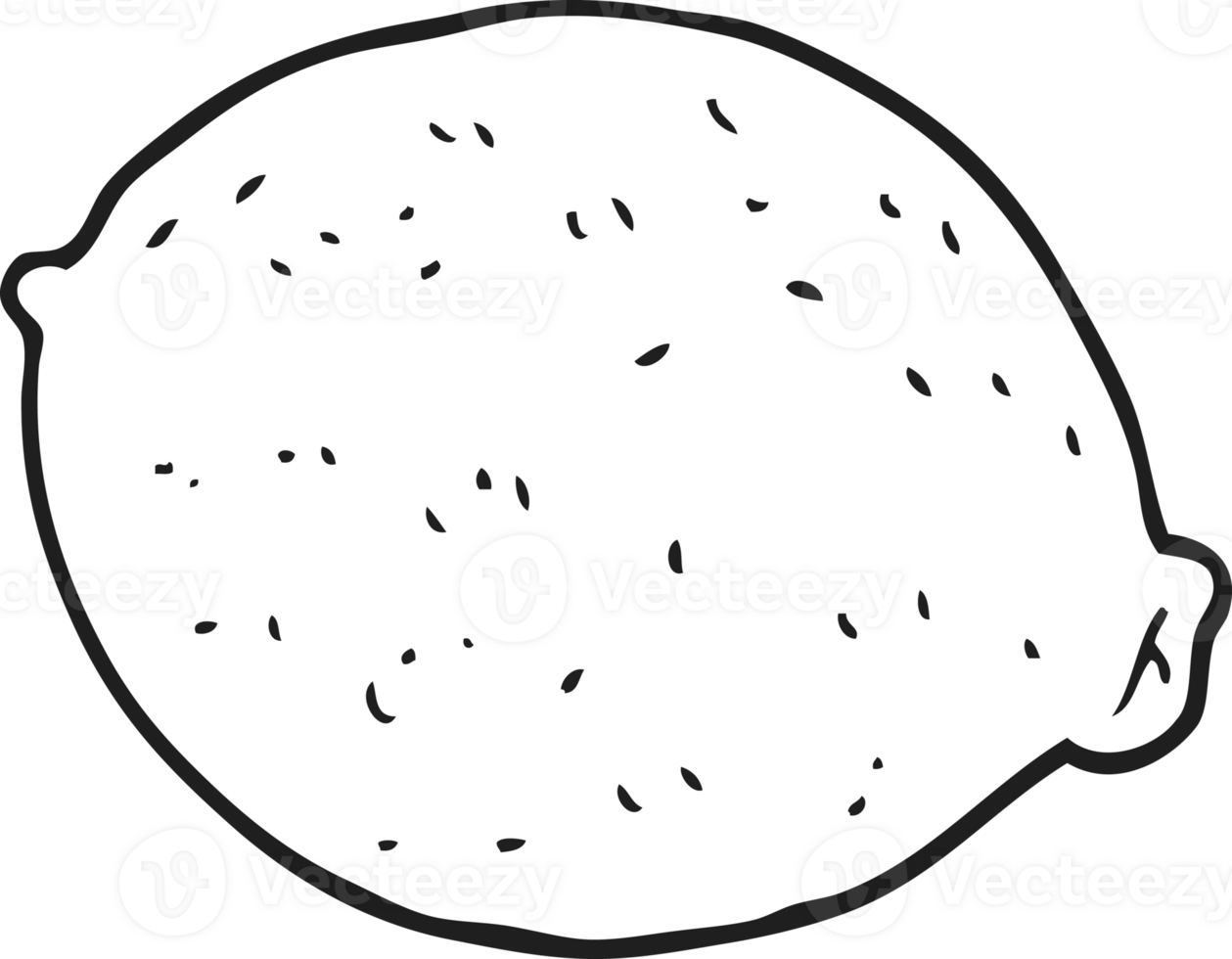 hand drawn black and white cartoon lemon png