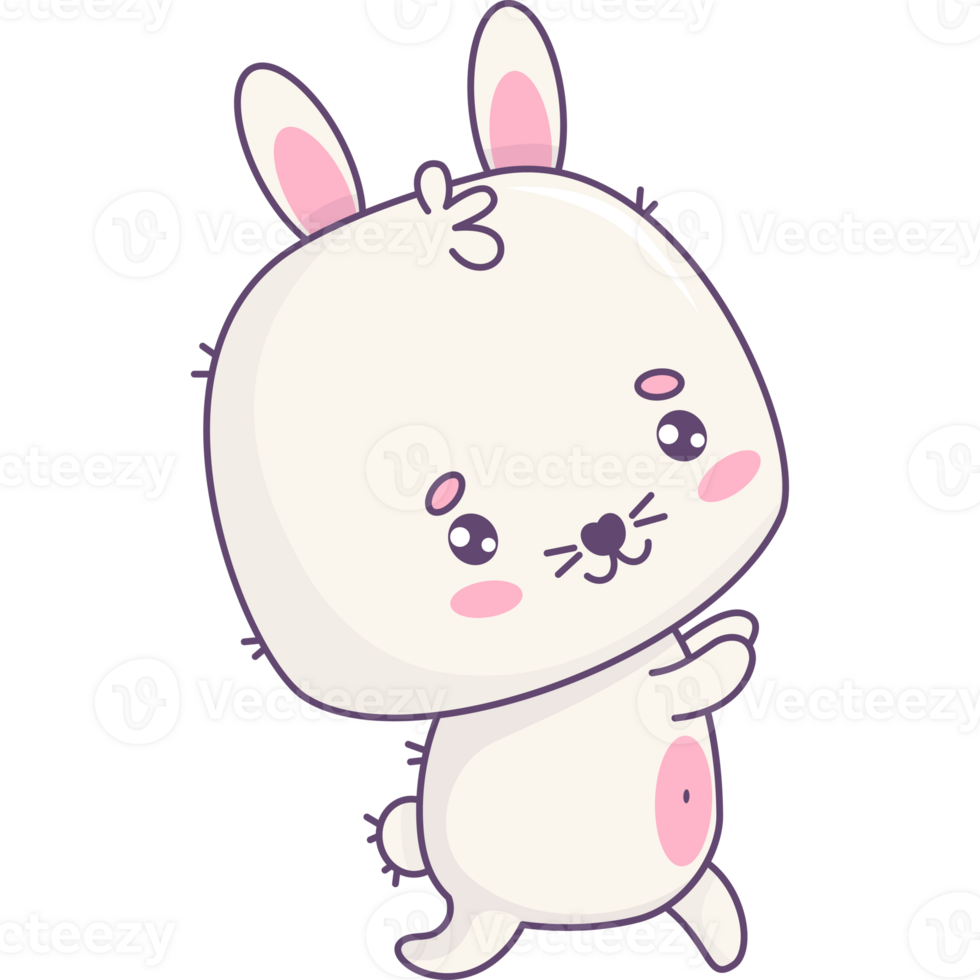 Funny bunny animal png