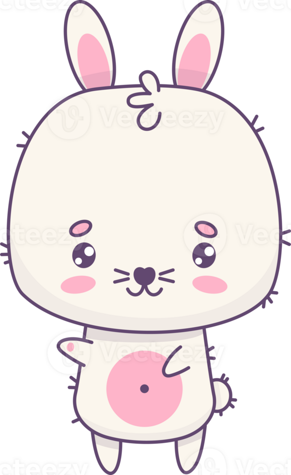 content petit blanc lapin png