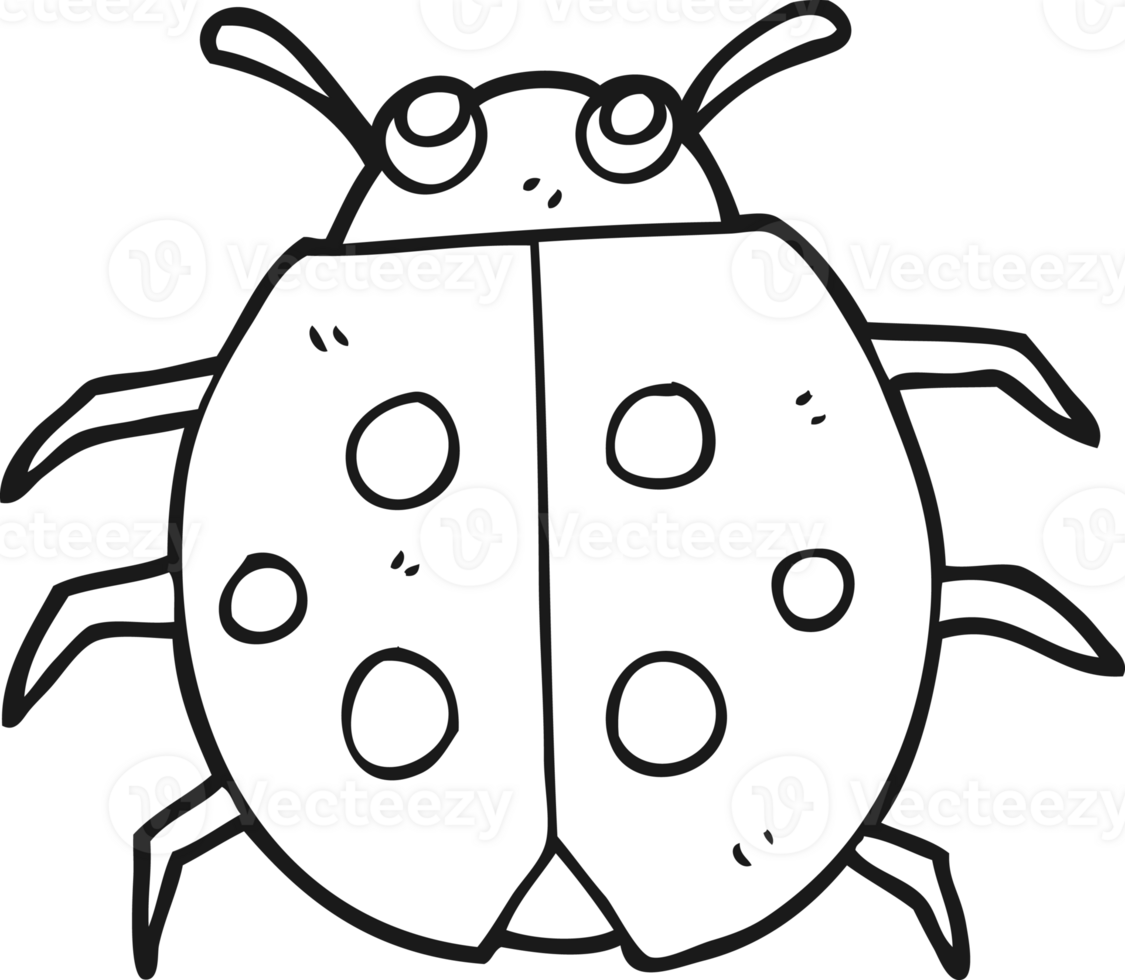 hand drawn black and white cartoon ladybug png