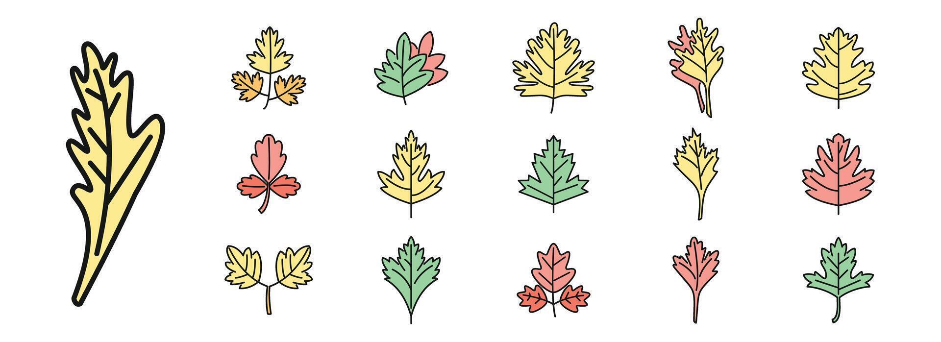 Parsley icons set vector color line