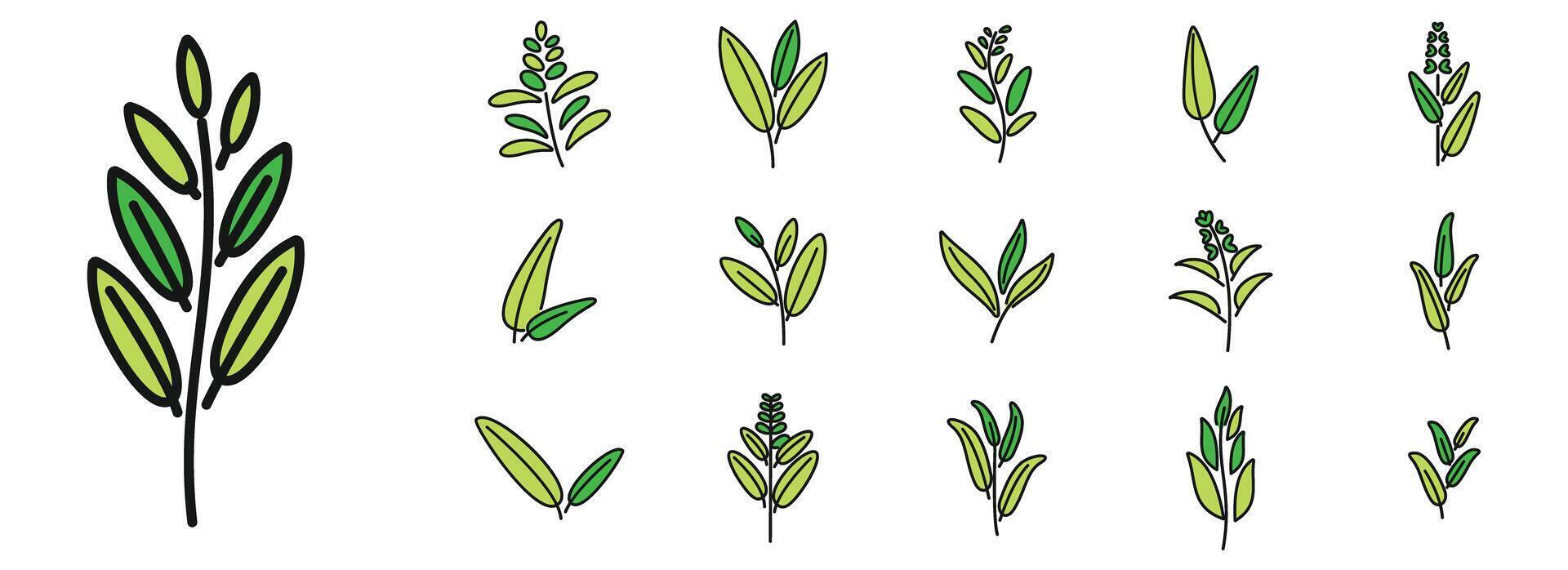 Sage icons set vector color line