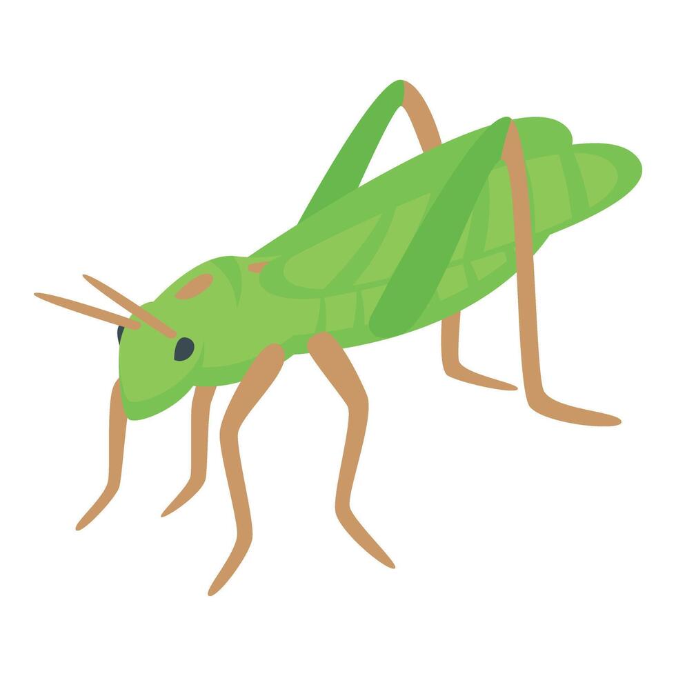 Small grasshopper icon isometric vector. Verdant creature vector