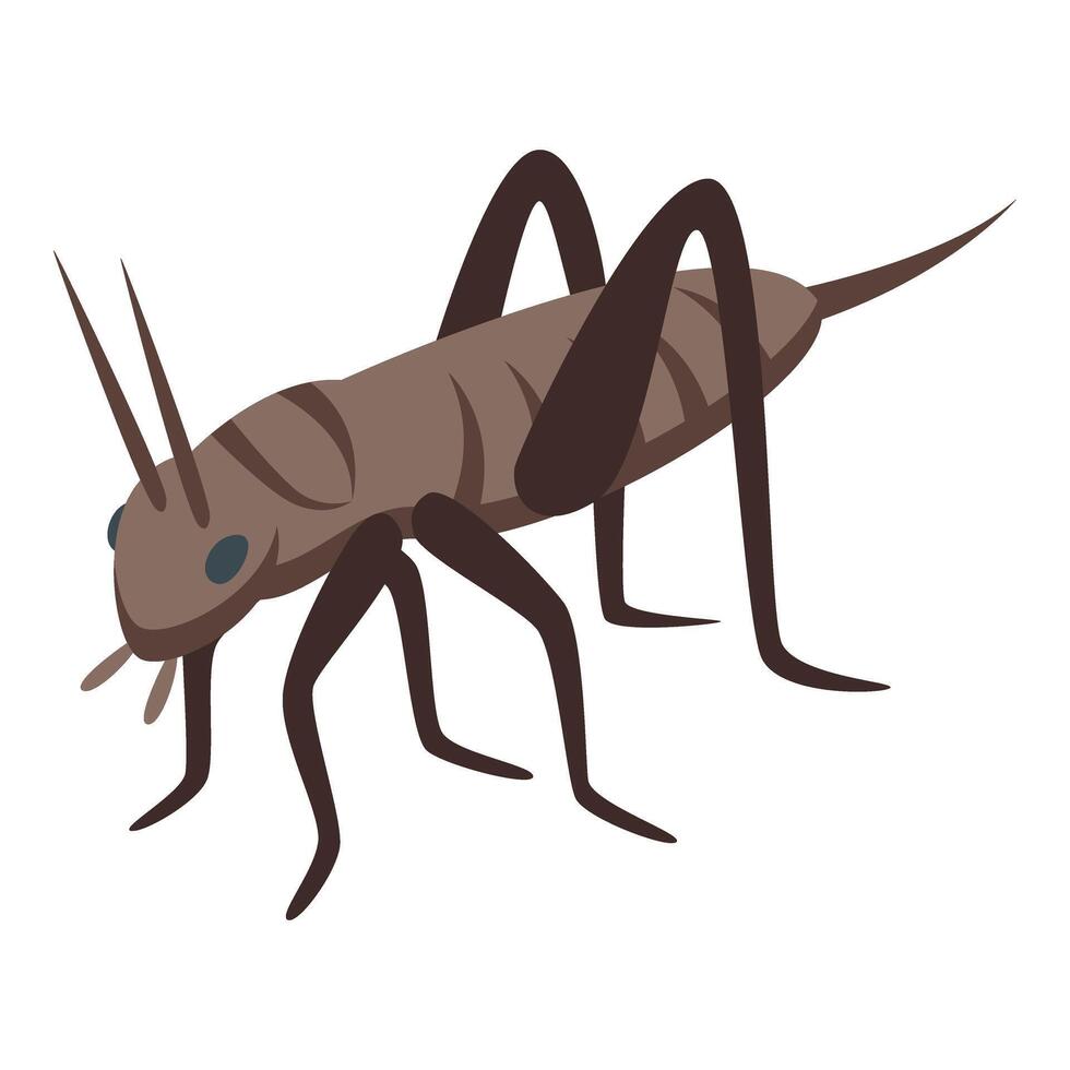 marrón insecto parásito icono isométrica vector. saltamontes animal vector