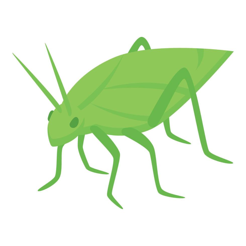 Female green grasshopper icon isometric vector. Insect bug vector