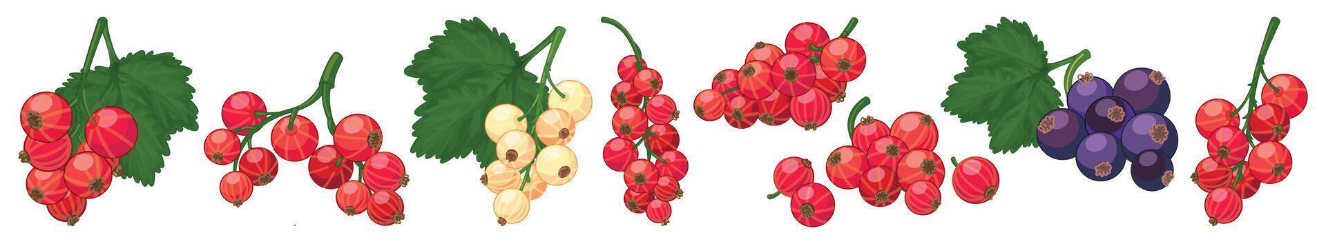 Currant icons set cartoon vector. Red berry vector
