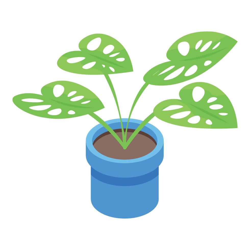 Monstera plant pot icon isometric vector. Floral house vector