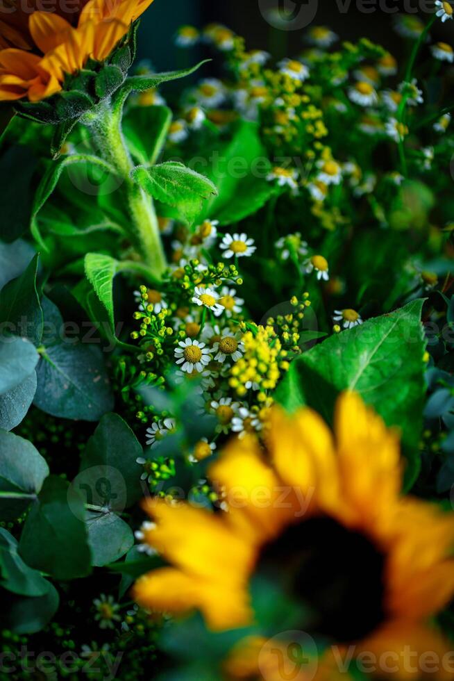 Close Up of Bouquet, Vibrant Flowers With Copy Space photo