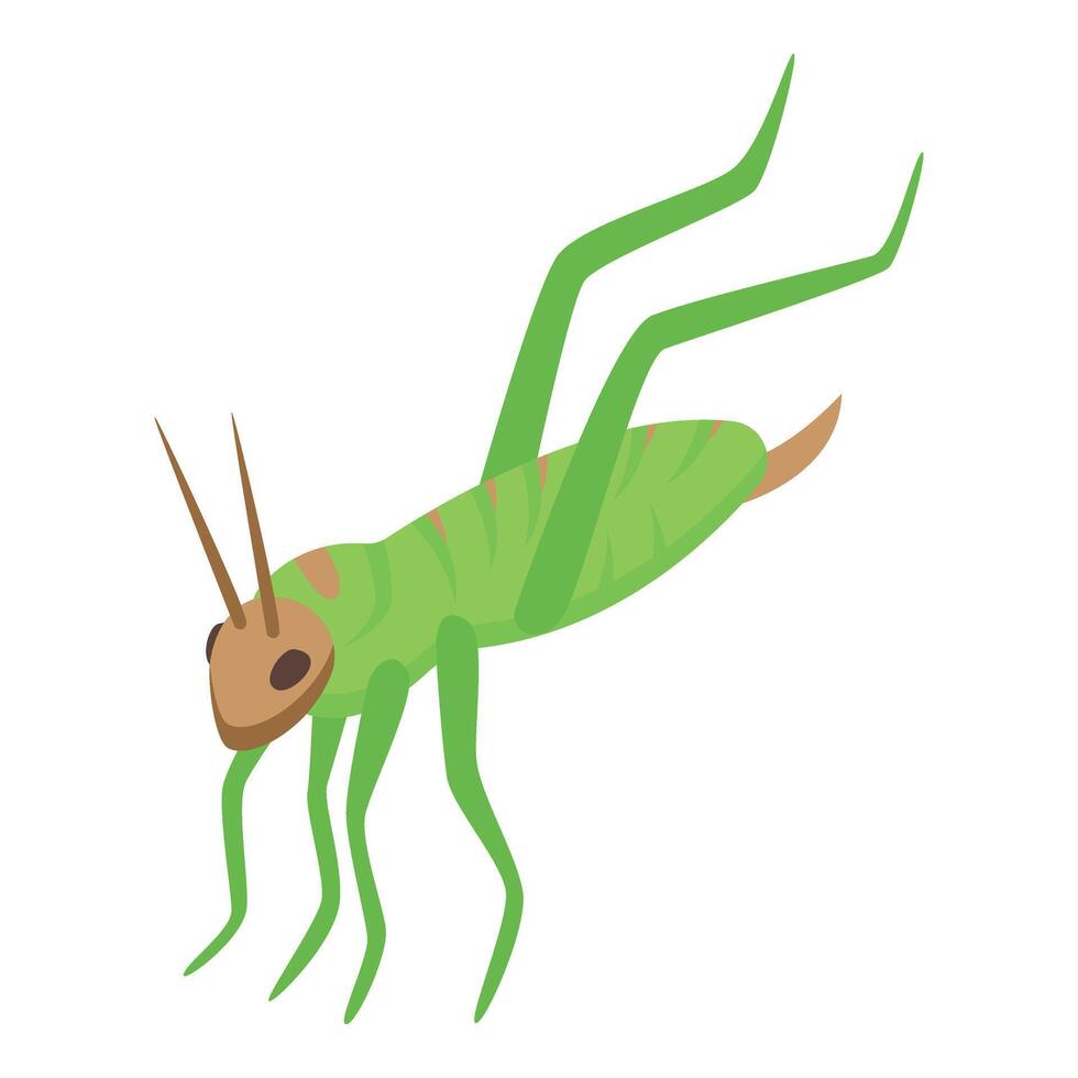 verde joven saltamontes icono isométrica vector. Arte hormiga vector