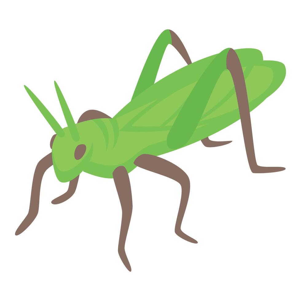 Fauna grasshopper icon isometric vector. Pest happy insect vector