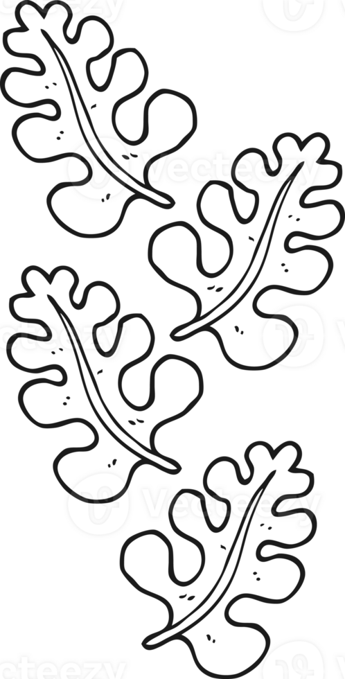 hand drawn black and white cartoon leaves png