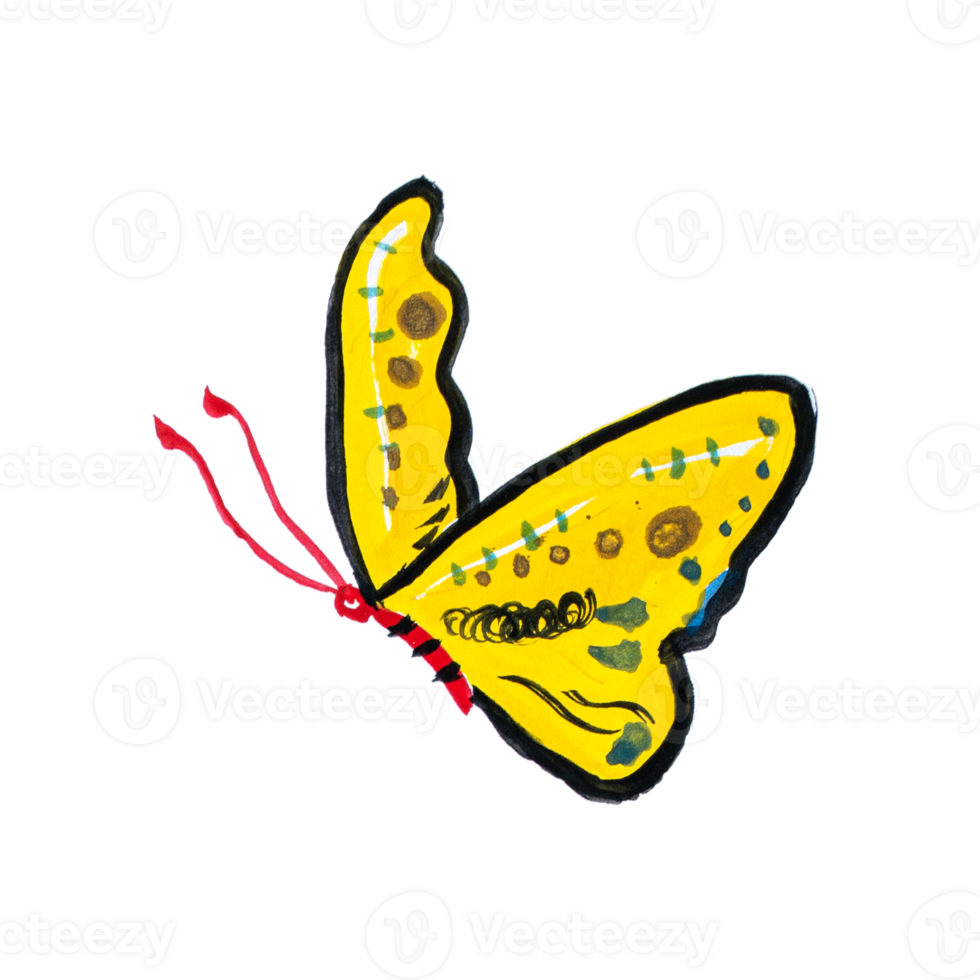 Hand-painted watercolor butterflies isolated on transparent background PNG file.