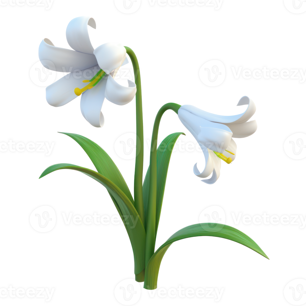 AI generated White Easter lily flowers symbolizing spring rebirth and purity. Easter day concept with transparent background png