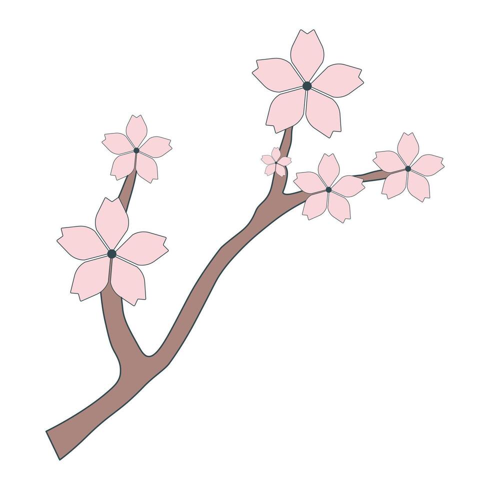 rama de Cereza florecer con sakura rosado flores vector