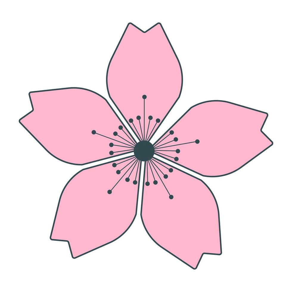 Sakura flower. Floral design element vector