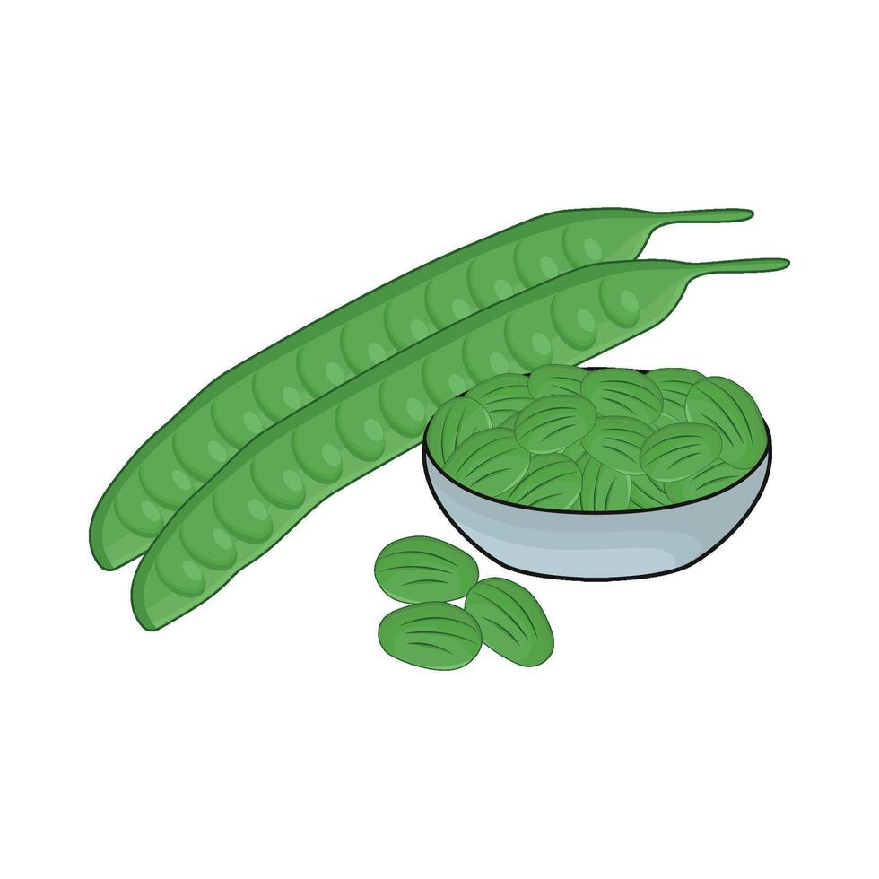 illustration of petai vector