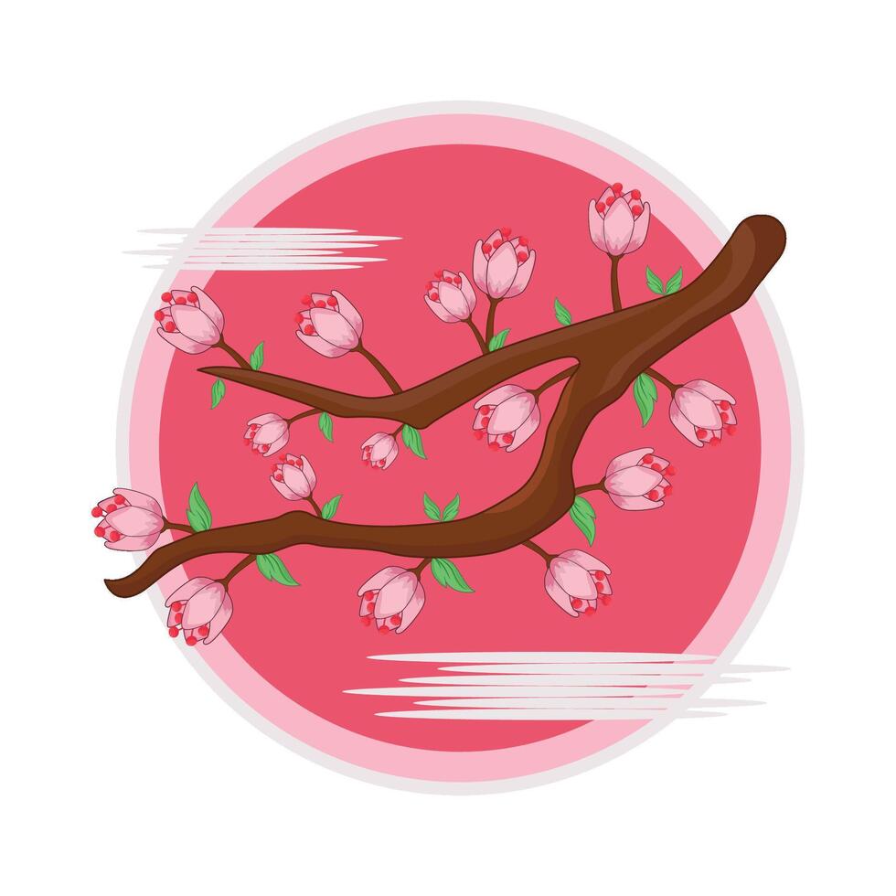 illustration of cherry blossom vector