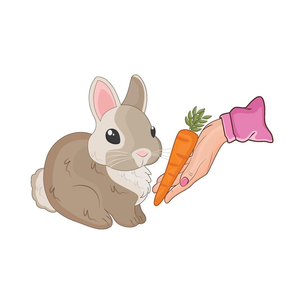 illustration of rabbit with carrot vector