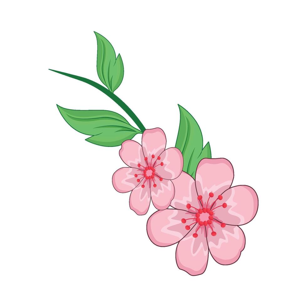 ilustración de Cereza florecer vector