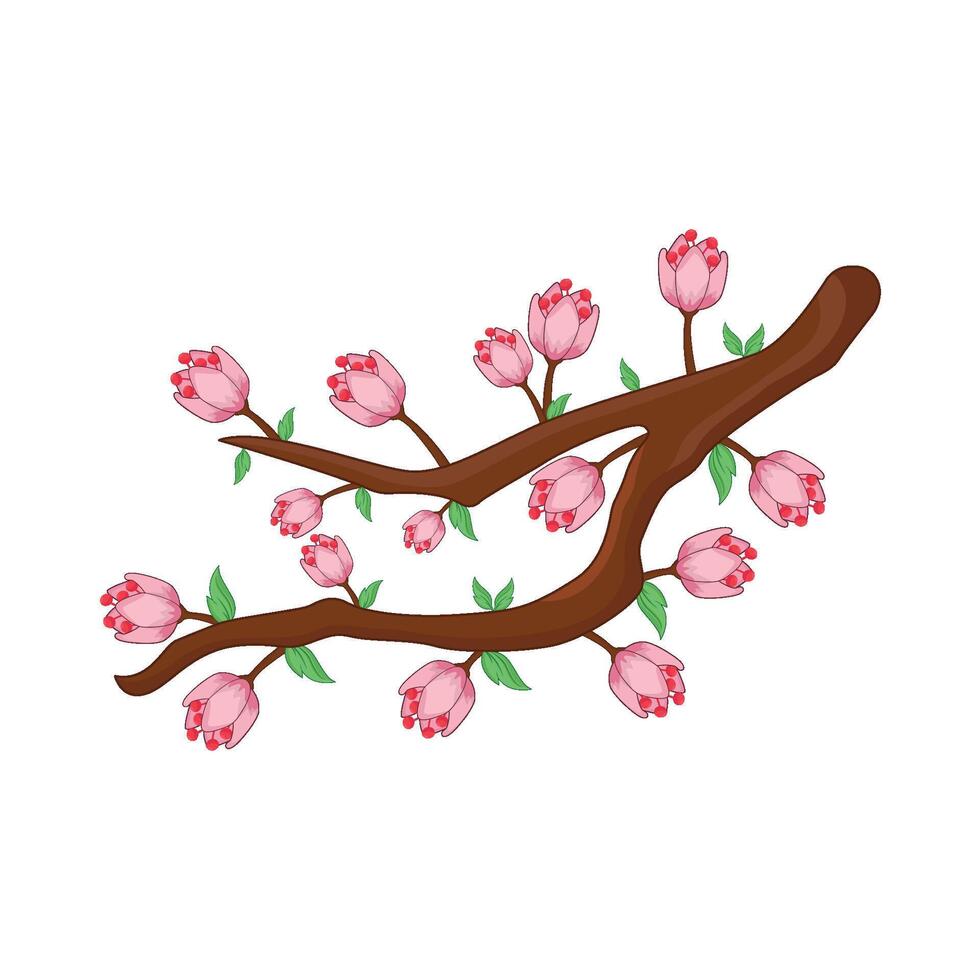 illustration of cherry blossom vector