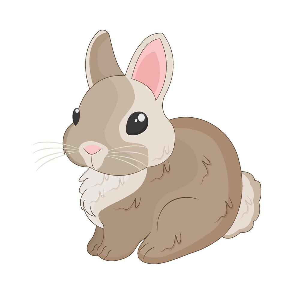 ilustración de Conejo vector