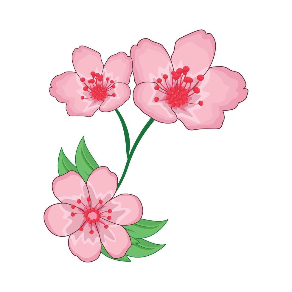 ilustración de Cereza florecer vector