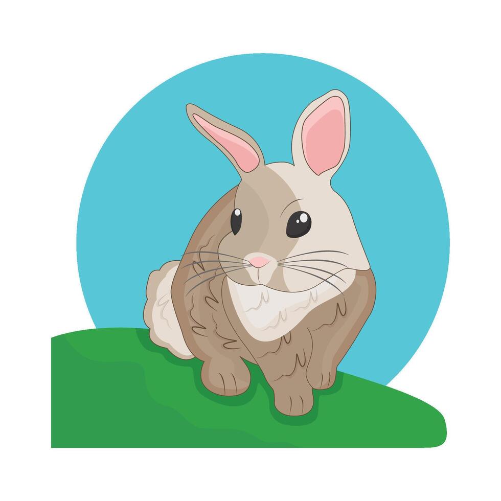 illustration of rabbit vector