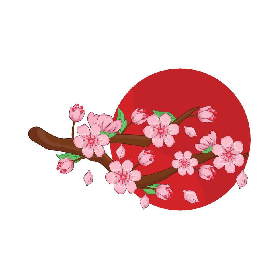 illustration of cherry blossom vector