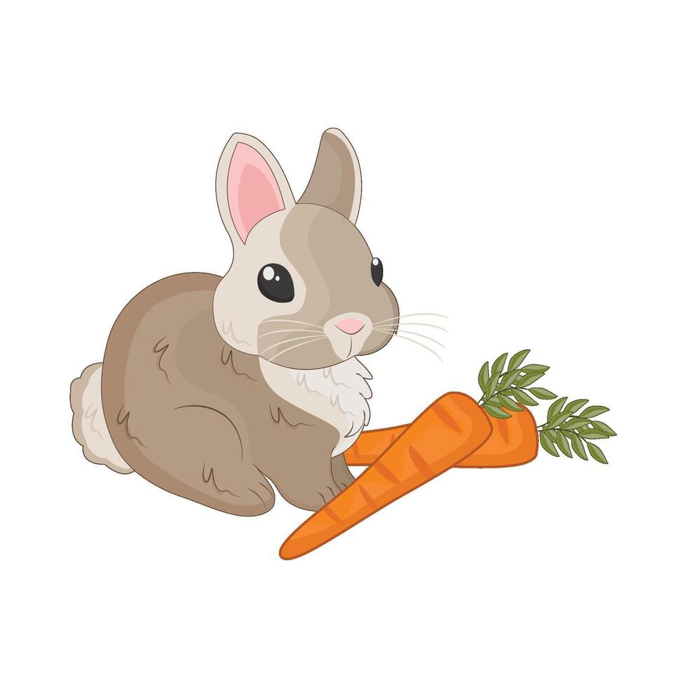 illustration of rabbit with carrot vector