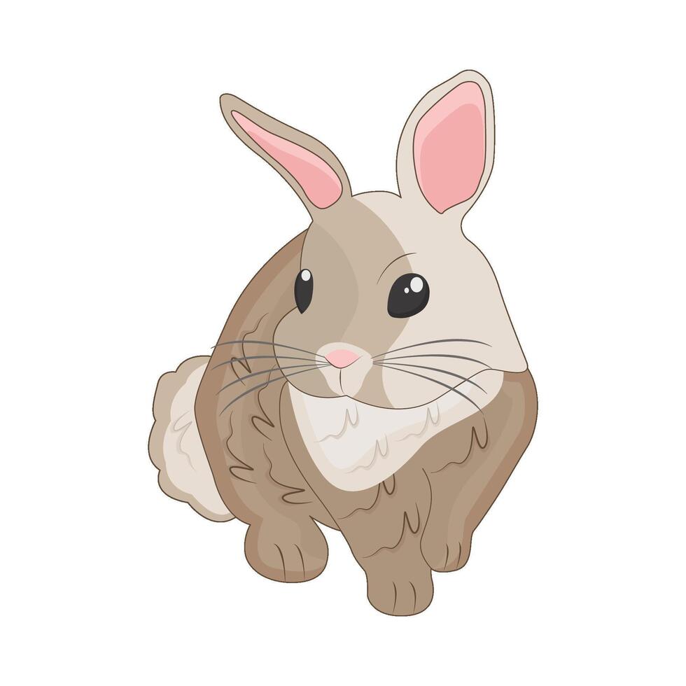 ilustración de Conejo vector