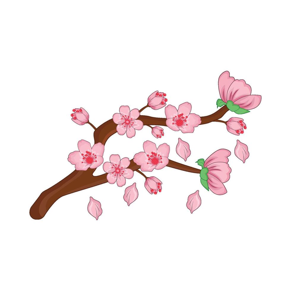 illustration of cherry blossom vector