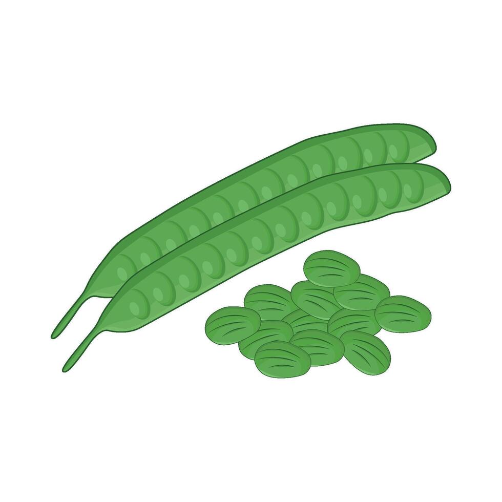 illustration of petai vector