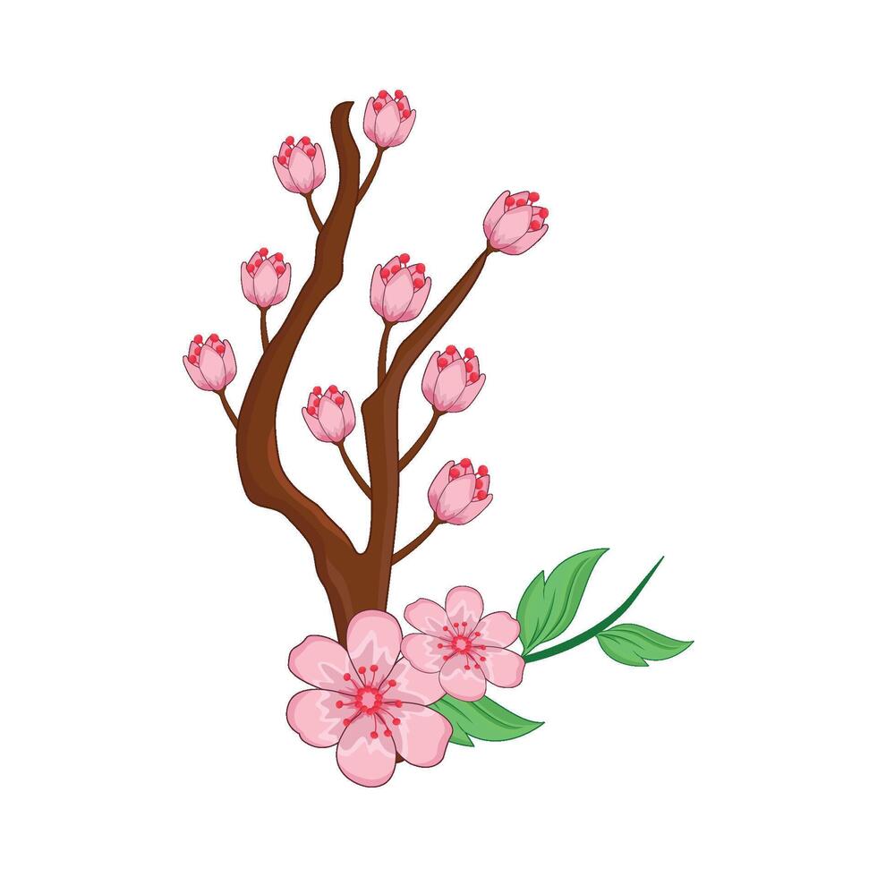 illustration of cherry blossom vector