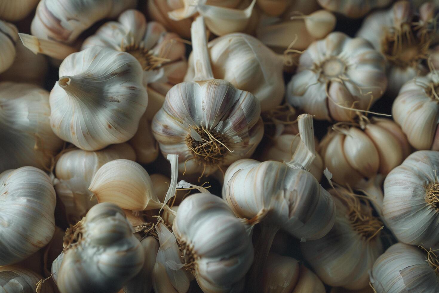 AI generated Pile of Fresh Organic Garlic Bulbs. photo