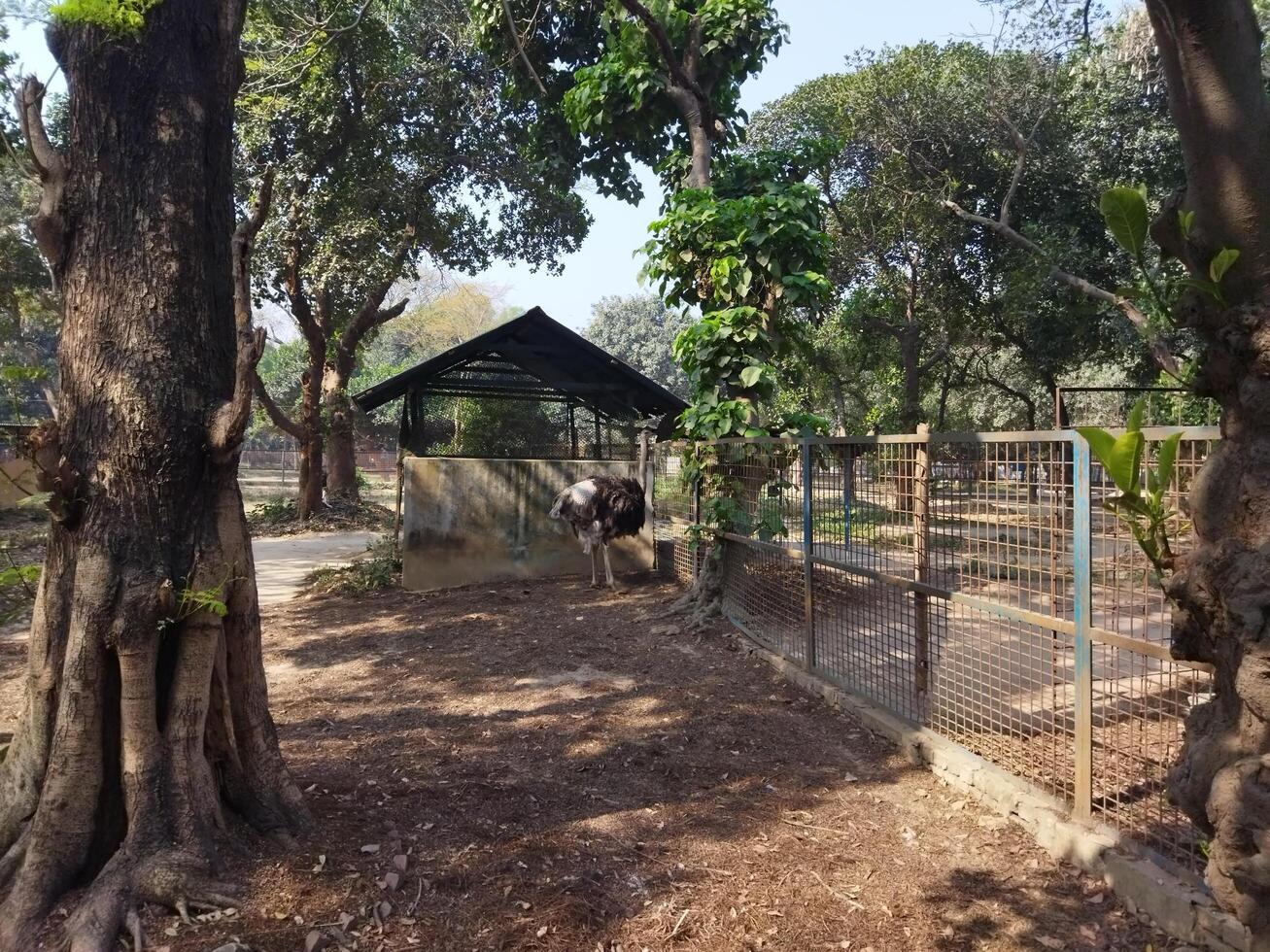 a zoo with a large enclosure for animals photo