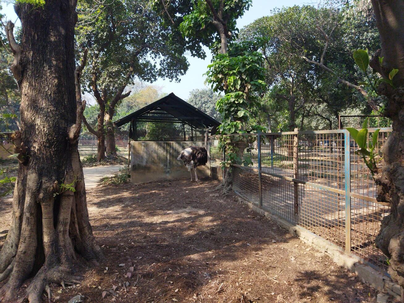 a zoo with a large enclosure for animals photo
