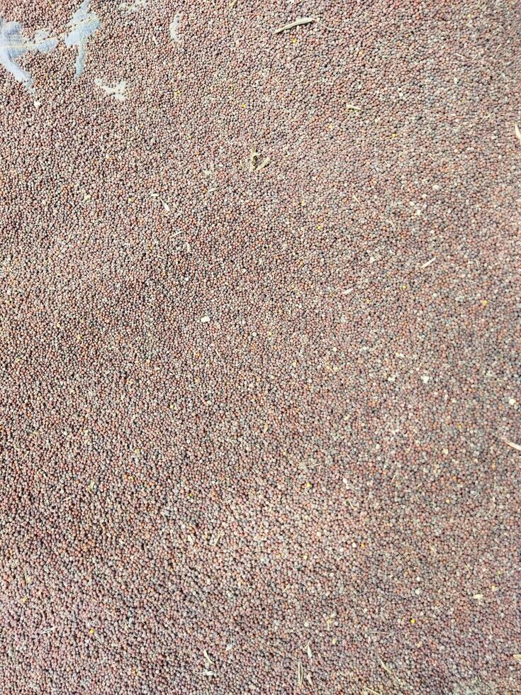 a close up of a red and brown surface photo