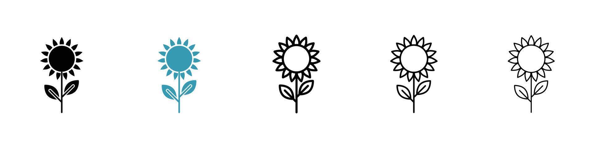 Sunflower vector icon