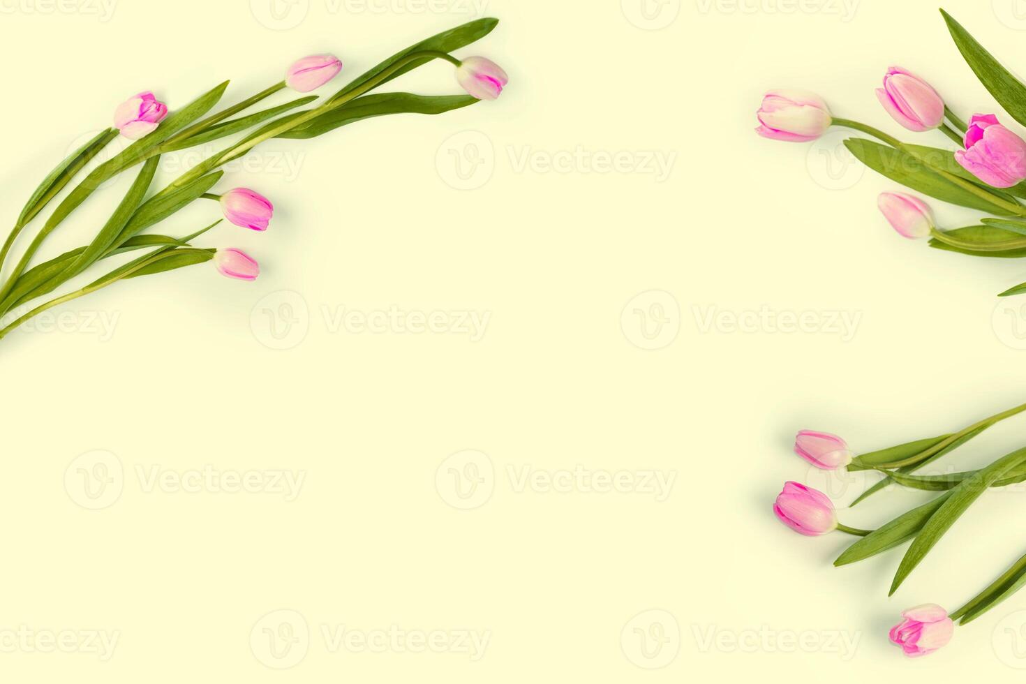 bouquet. Beautiful tulip flowers on colorful background photo
