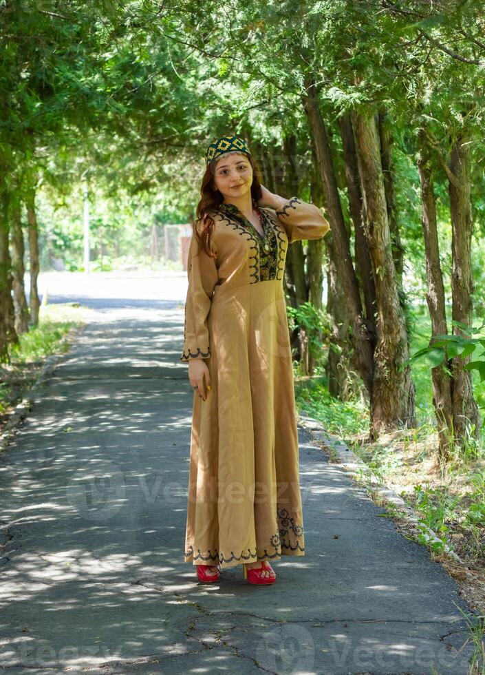 armenio joven mujer en tradicional ropa en el naturaleza en verano foto